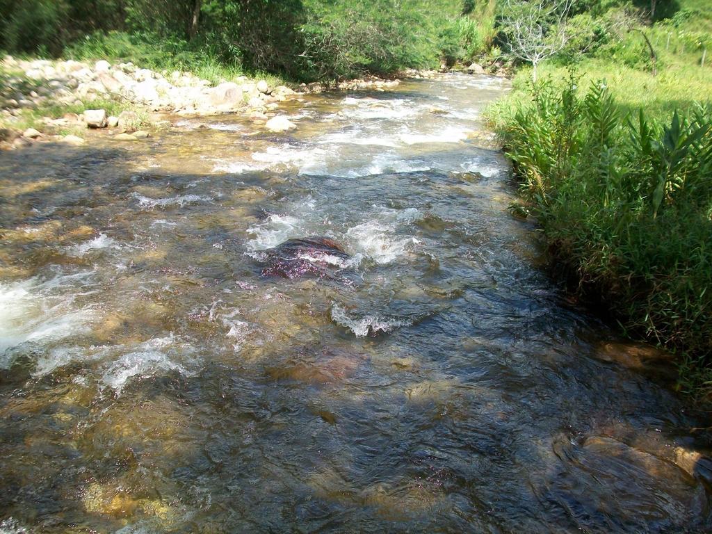 Chacara Na Serra Da Mantiqueira Santo Antônio do Pinhal الغرفة الصورة